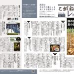 レポート163号中面　2610_h2-3_163_1011のサムネイル